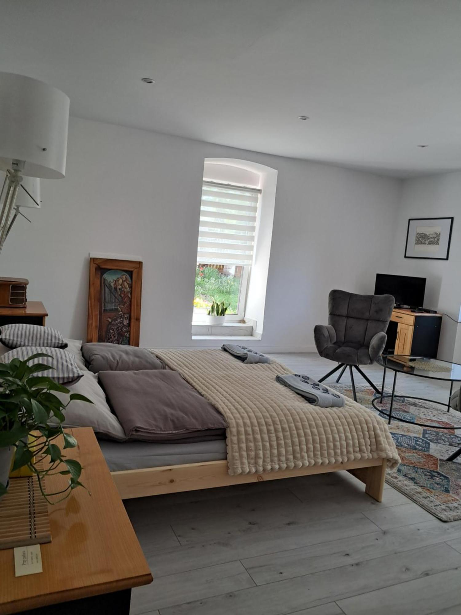 Przy Palacu Apartment *