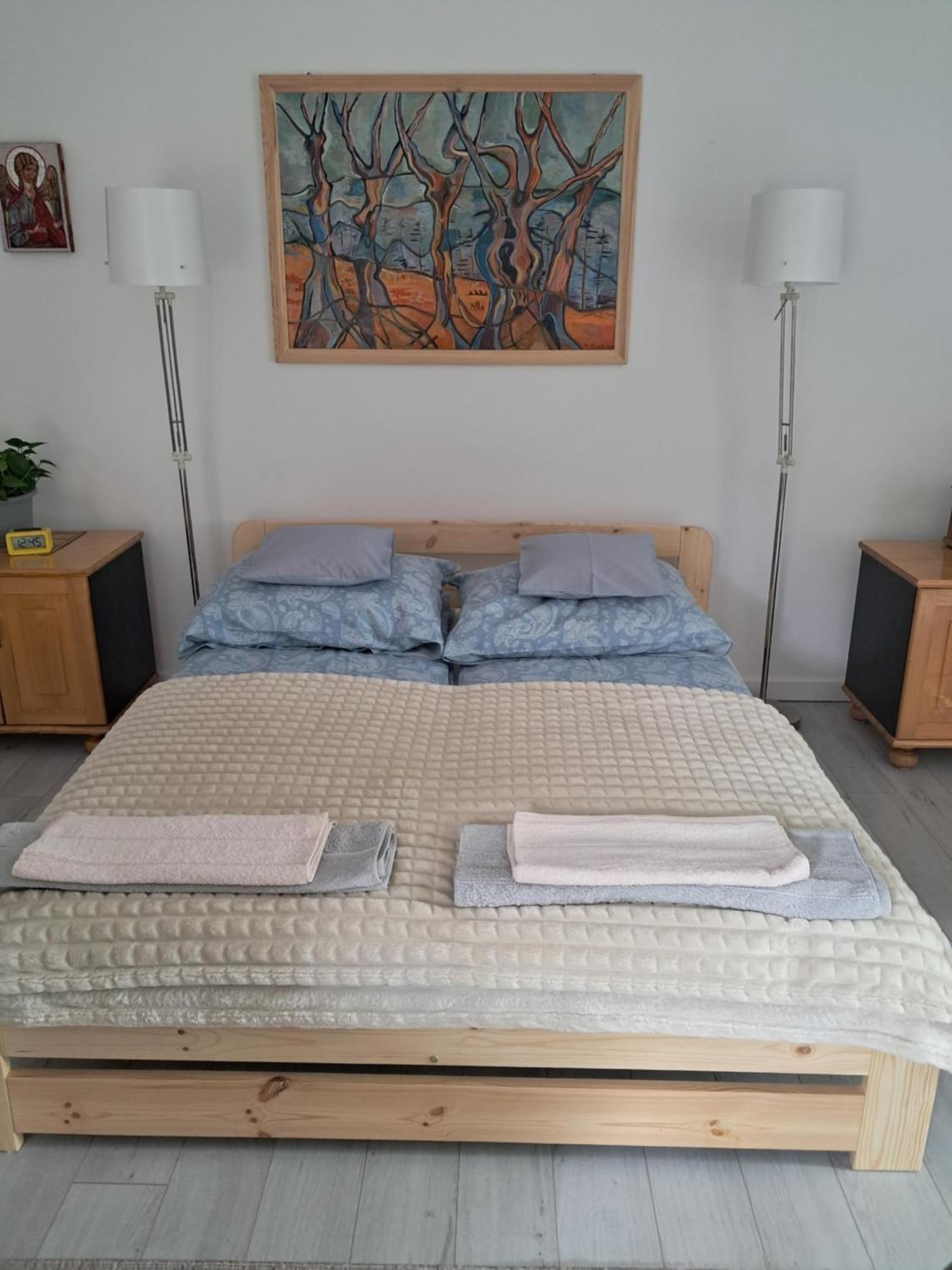 Przy Palacu Apartment *